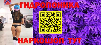 мдпв Нальчик