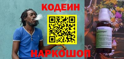 СК Новозыбков