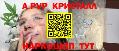 СК Новозыбков