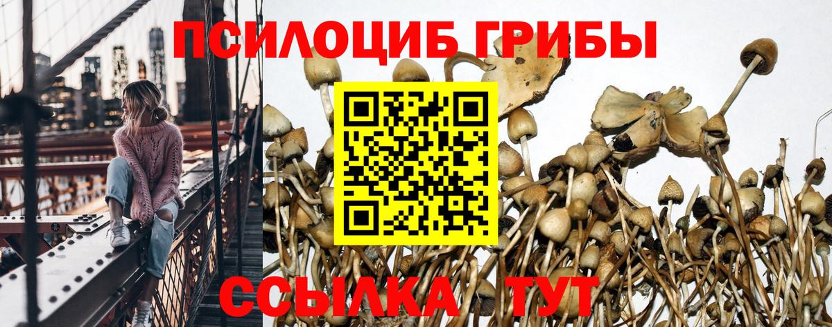 Псилоцибиновые грибы ЛСД Родники
