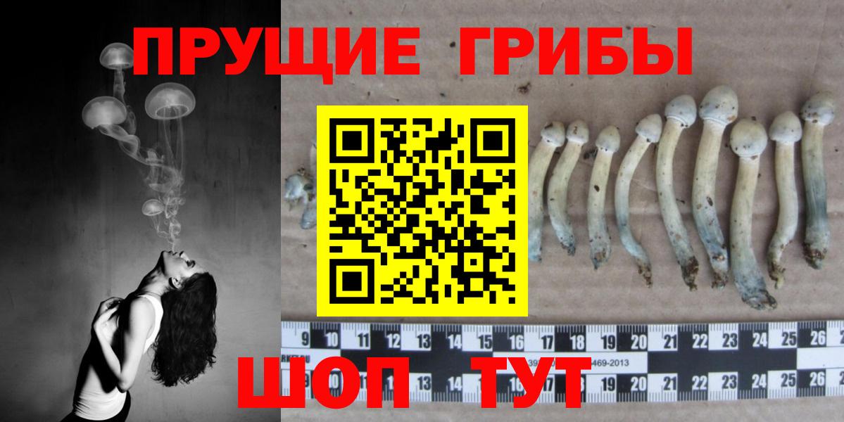 Галлюциногенные грибы Magic Shrooms  Галлюциногенные грибы MAGIC MUSHROOMS  Вход с VPN  Родники 